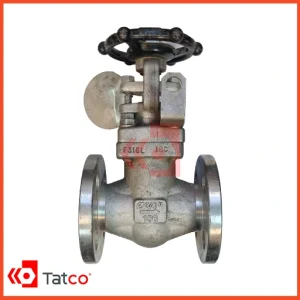 شیر کشویی کلاس 150 استنلس استیل F316L-BONNY FORGE