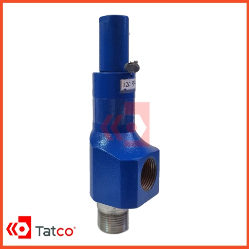 Iranian LESER Type Safety Valve-3 شیر اطمینان طرح LESER ایرانی