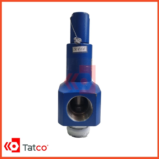 Iranian LESER-Type Steel Safety Valve-2 شیر اطمینان فولادی طرح LESER ایرانی