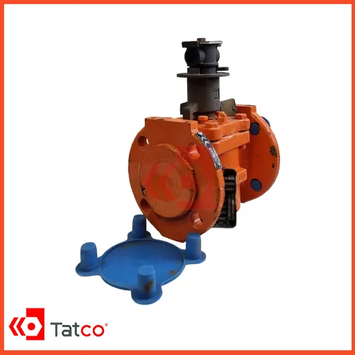 Cast iron plug valve CL 150, Teflon-lined, size 2 (4)